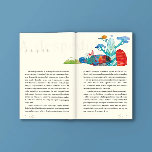 pnld-2026-literario-equidade-objeto-1-obra-literaria-capa-espia-das-montanhas-galeria-3