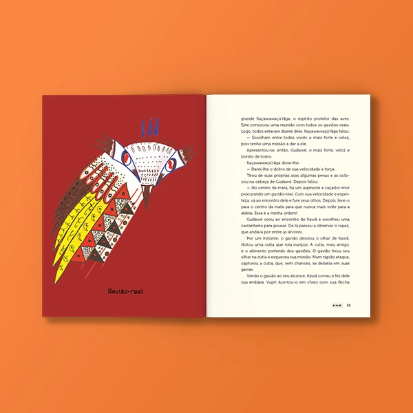 pnld-2026-literario-equidade-objeto-3-obra-literaria-capa-aventuras-do-menino-kawa-galeria-2