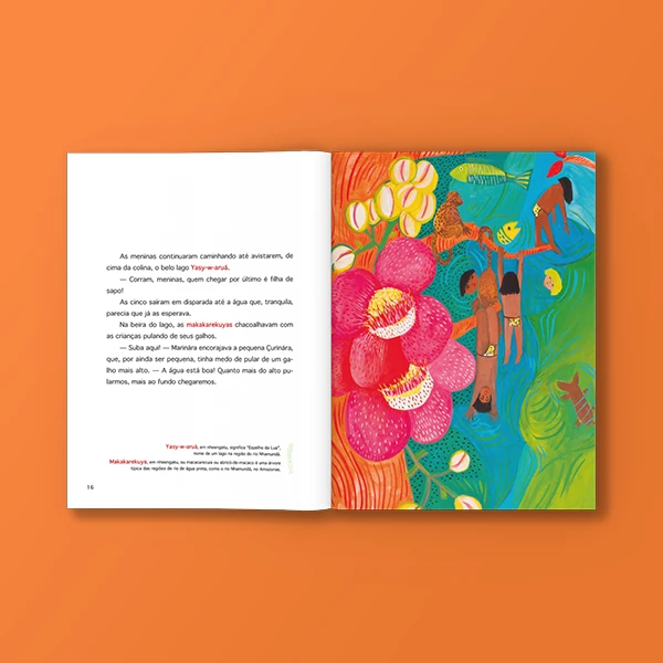 pnld-2026-literario-equidade-objeto-3-obra-literaria-capa-pequenas-guerreiras-galeria-3