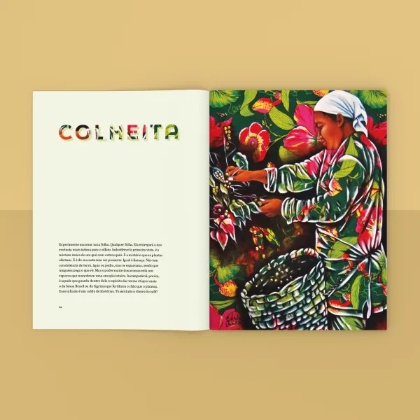 pnld-2026-literario-equidade-objeto-2-obra-literaria-capa-giraflor-galeria-2